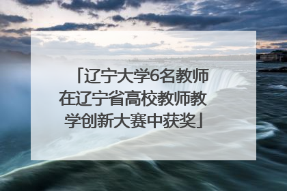 辽宁大学6名教师在辽宁省高校教师教学创新大赛中获奖