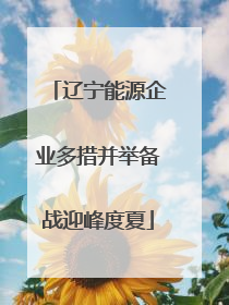 辽宁能源企业多措并举备战迎峰度夏