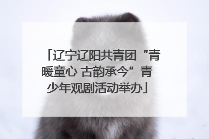 辽宁辽阳共青团“青暖童心 古韵承今”青少年观剧活动举办