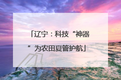 辽宁：科技“神器”为农田夏管护航