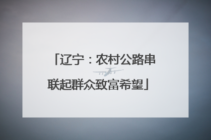 辽宁：农村公路串联起群众致富希望