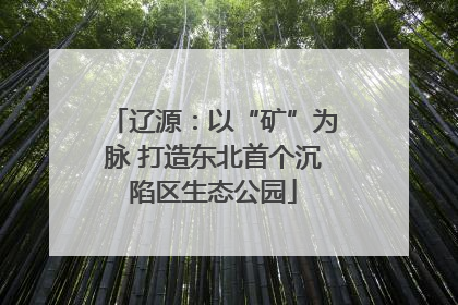 辽源：以“矿”为脉 打造东北首个沉陷区生态公园