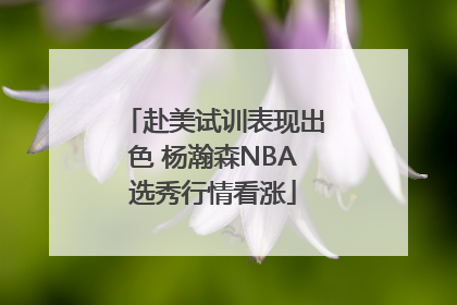 赴美试训表现出色 杨瀚森NBA选秀行情看涨