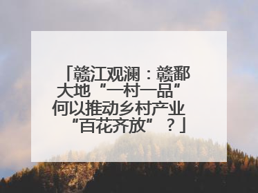 赣江观澜：赣鄱大地“一村一品”何以推动乡村产业“百花齐放”？