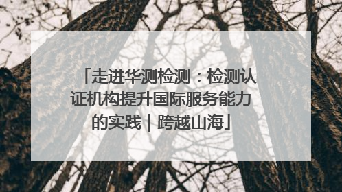 走进华测检测：检测认证机构提升国际服务能力的实践｜跨越山海