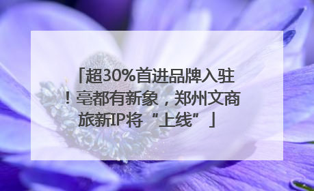 超30%首进品牌入驻！亳都有新象，郑州文商旅新IP将“上线”