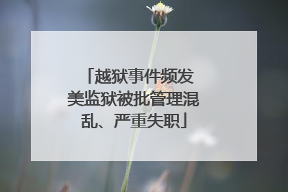 越狱事件频发 美监狱被批管理混乱、严重失职