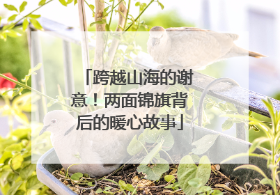 跨越山海的谢意！两面锦旗背后的暖心故事