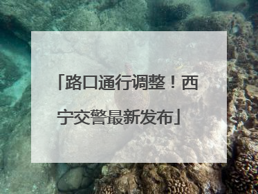 路口通行调整！西宁交警最新发布