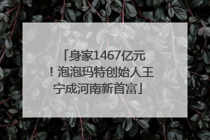身家1467亿元!泡泡玛特创始人王宁成河南新首富