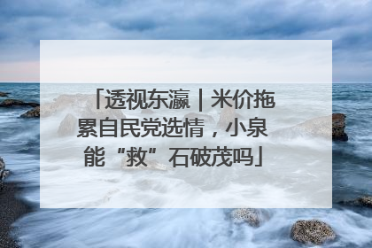 透视东瀛｜米价拖累自民党选情，小泉能“救”石破茂吗