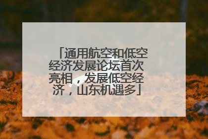 通用航空和低空经济发展论坛首次亮相，发展低空经济，山东机遇多