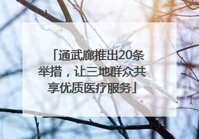通武廊推出20条举措，让三地群众共享优质医疗服务