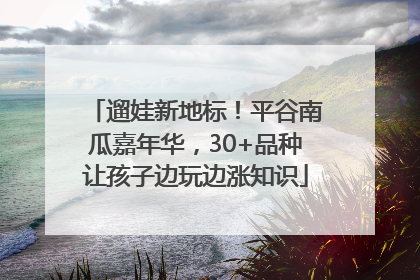 遛娃新地标！平谷南瓜嘉年华，30+品种让孩子边玩边涨知识