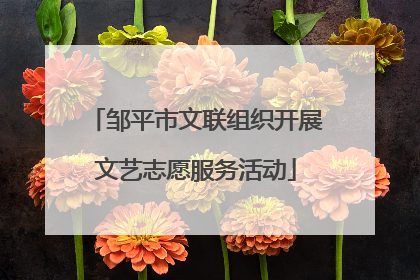 邹平市文联组织开展文艺志愿服务活动