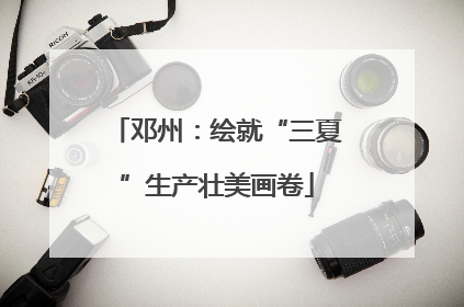 邓州：绘就“三夏”生产壮美画卷