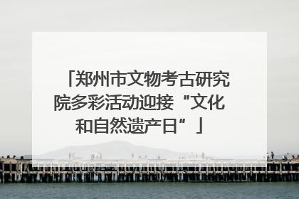 郑州市文物考古研究院多彩活动迎接“文化和自然遗产日”