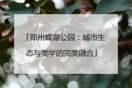 郑州蝶湖公园：城市生态与美学的完美融合