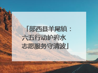 郧西县羊尾镇：六五行动护碧水 志愿服务守清波