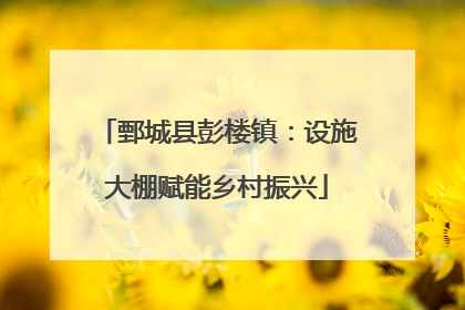 鄄城县彭楼镇：设施大棚赋能乡村振兴