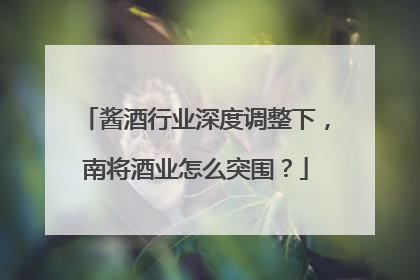酱酒行业深度调整下，南将酒业怎么突围？