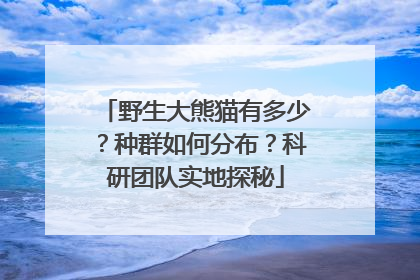 野生大熊猫有多少？种群如何分布？科研团队实地探秘