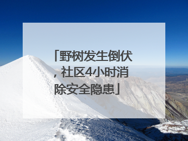 野树发生倒伏，社区4小时消除安全隐患