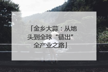 金乡大蒜：从地头到全球“链出”全产业之路