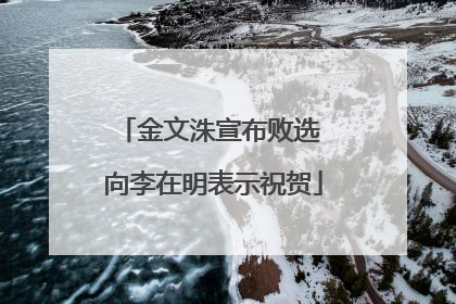金文洙宣布败选 向李在明表示祝贺