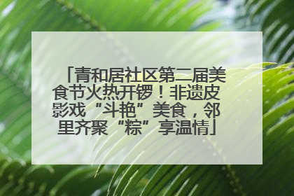 青和居社区第二届美食节火热开锣！非遗皮影戏“斗艳”美食，邻里齐聚“粽”享温情