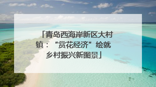 青岛西海岸新区大村镇：“赏花经济”绘就乡村振兴新图景