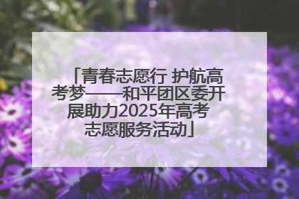 青春志愿行 护航高考梦——和平团区委开展助力2025年高考志愿服务活动