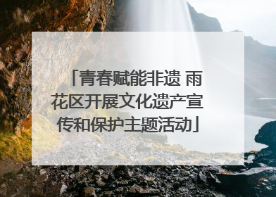 青春赋能非遗 雨花区开展文化遗产宣传和保护主题活动