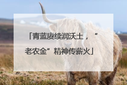 青蓝赓续润沃土，“老农金”精神传薪火