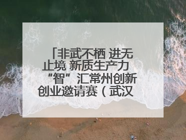 非武不栖 进无止境 新质生产力“智”汇常州创新创业邀请赛（武汉站）圆满举办