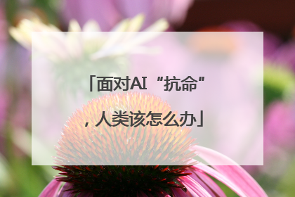 面对AI“抗命”，人类该怎么办