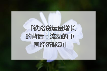 铁路货运量增长的背后：流动的中国经济脉动
