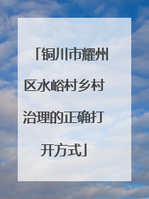 铜川市耀州区水峪村乡村治理的正确打开方式