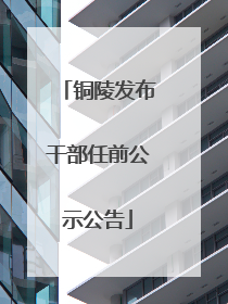 铜陵发布干部任前公示公告