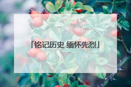 铭记历史 缅怀先烈