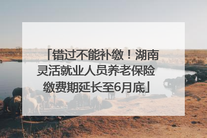 错过不能补缴！湖南灵活就业人员养老保险缴费期延长至6月底