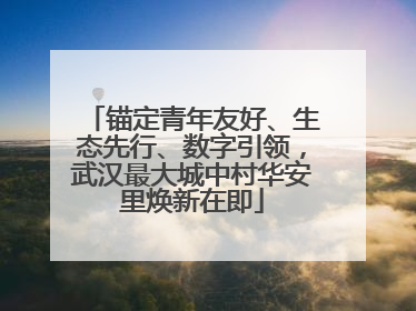 锚定青年友好、生态先行、数字引领，武汉最大城中村华安里焕新在即