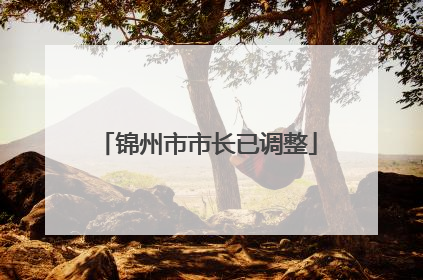 锦州市市长已调整
