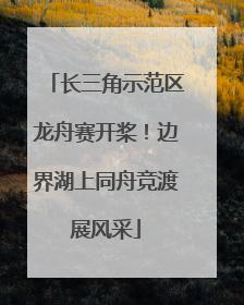 长三角示范区龙舟赛开桨！边界湖上同舟竞渡展风采