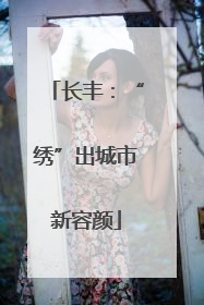 长丰：“绣”出城市新容颜