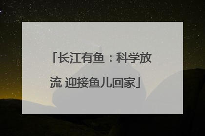长江有鱼：科学放流 迎接鱼儿回家