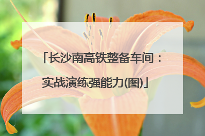 长沙南高铁整备车间：实战演练强能力(图)