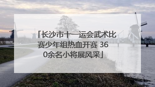 长沙市十一运会武术比赛少年组热血开赛 360余名小将展风采