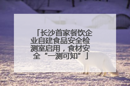 长沙首家餐饮企业自建食品安全检测室启用，食材安全“一测可知”
