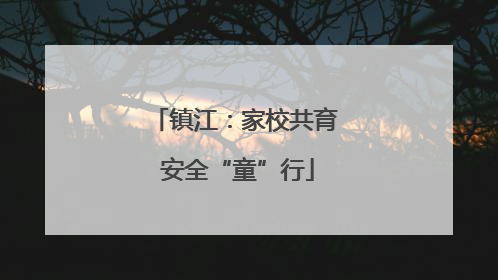 镇江：家校共育 安全“童”行